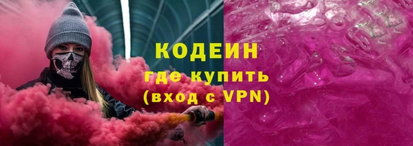 крисы Козельск