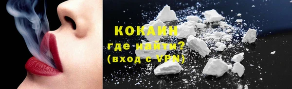 крисы Козельск