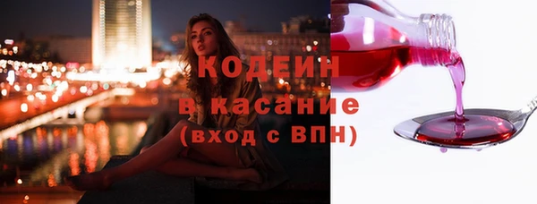крисы Козельск