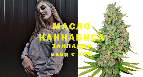 крисы Козельск