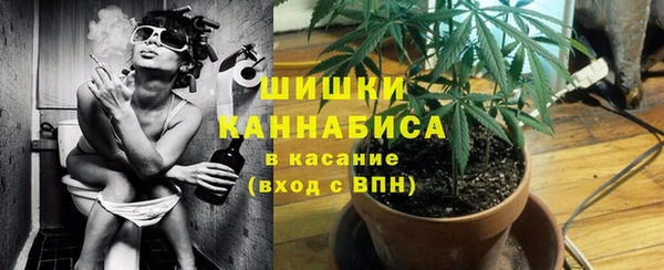 крисы Козельск