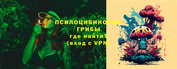 тгк Кодинск