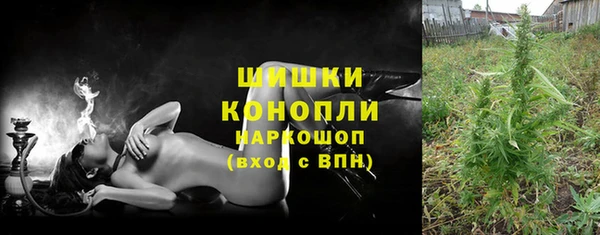 крисы Козельск