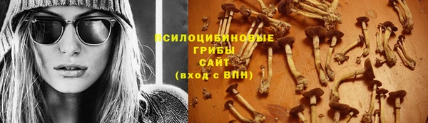 винт Козловка