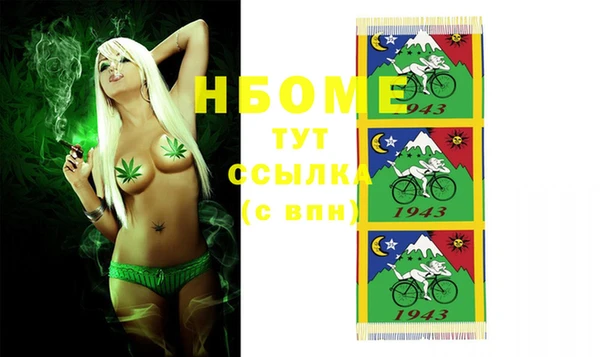 крисы Козельск
