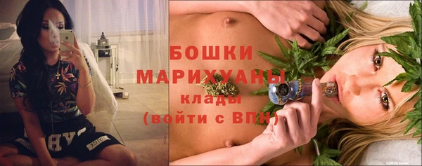крисы Козельск