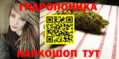 сатива Анжеро-Судженск
