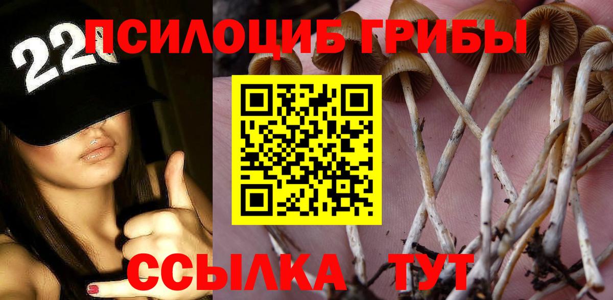 Россошь  Псилоцибиновые грибы мухоморы  Вход с VPN  Галлюциногенные грибы GOLDEN TEACHER 