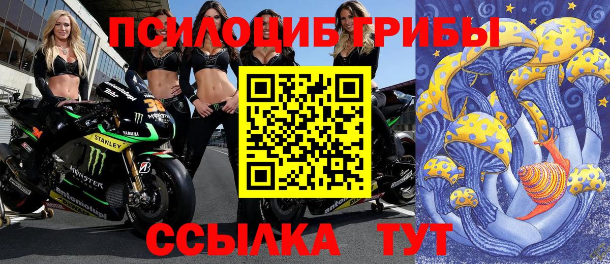 Псилоцибиновые грибы Psilocybine cubensis Россошь